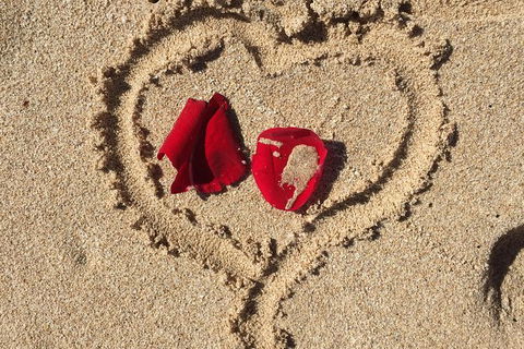 Elope In Paradise - Weddings At Mission Beach - Stays Accommodation 3