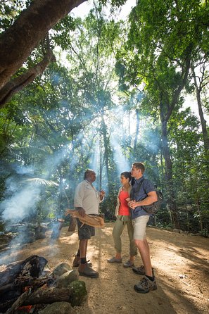 Mossman Gorge Dreamtime Tour - Stayed 4