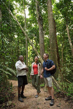 Mossman Gorge Dreamtime Tour - Stayed 1