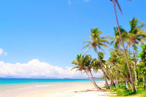 Airport Transfer - Mission Beach To Cairns Airport - Stays Accommodation 3