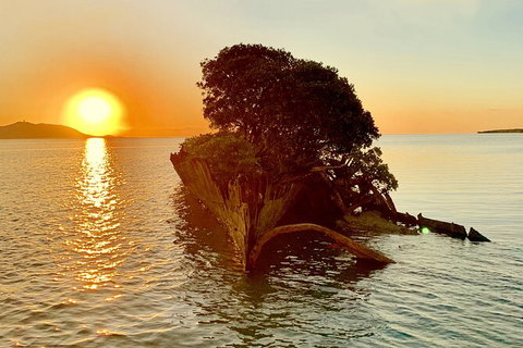 Aquascene Magnetic Island Sunset & Shipwreck Tour - Stays Accommodation 3