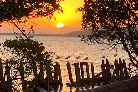 Aquascene Magnetic Island Sunset & Shipwreck Tour - Stays Accommodation 2