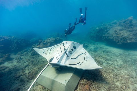 Premium Private Charter - Stayed 10