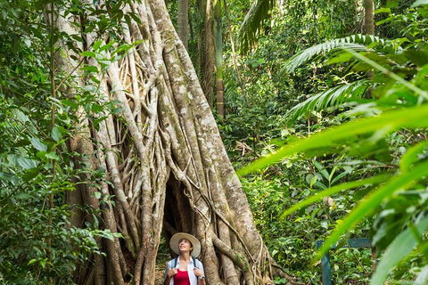 Rainforest To Reef Experience - Reef And Beyond Guided Holidays - Stayed 2