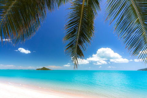 Rainforest To Reef Experience - Reef And Beyond Guided Holidays - Stayed 1