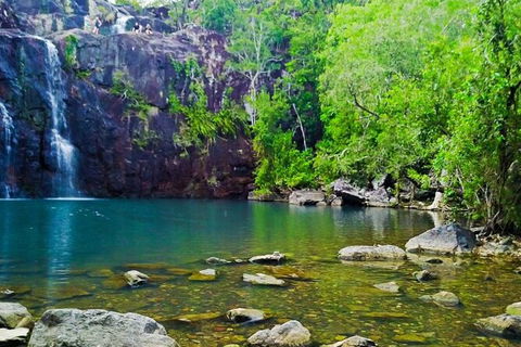 Rainforest To Reef Experience - Reef And Beyond Guided Holidays - Stayed 5