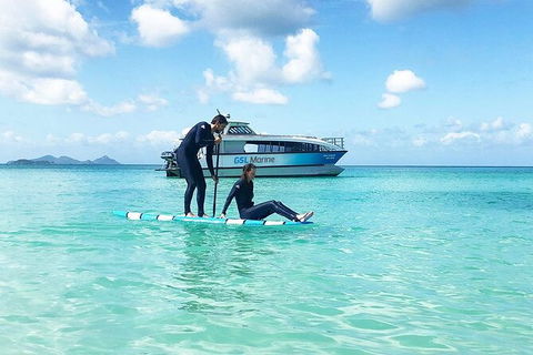 Rainforest To Reef Experience - Reef And Beyond Guided Holidays - Stayed 3
