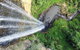 Natural Bridge, Springbrook & Gold Coast Tour - thumb 3