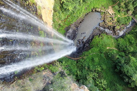 Natural Bridge, Springbrook & Gold Coast Tour - Stayed 3