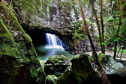 Natural Bridge, Springbrook & Gold Coast Tour - Stayed 6