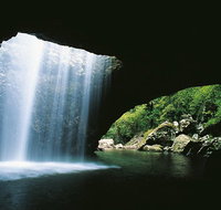 Natural Bridge Springbrook  Gold Coast Tour - Stayed