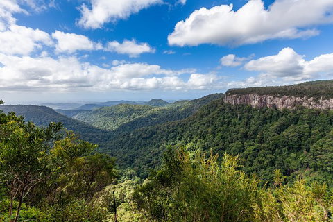 Natural Bridge, Springbrook & Gold Coast Tour - Stayed 1