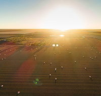 Discover Farming in Goondiwindi - Stayed