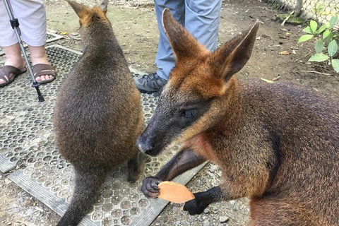 Daintree Luxury Limousine Tour - Full Day - Stayed 7