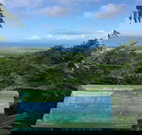 Daintree Luxury Limousine Tour - Full Day - Stayed