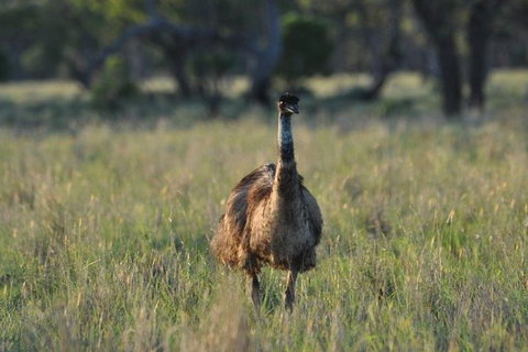 9-Day Cunnamulla Outback Exploration Backpacking Trip From Brisbane - Stayed 1