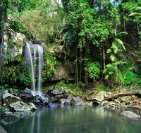Tamborine Mountain  Gold Coast Tour - Stayed