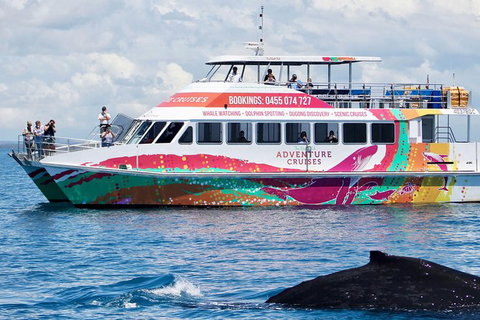 Half-Day Whale Watching In Urangan - Stayed 1