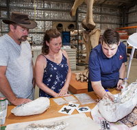 Australian Dinosaur Giants Tour - Stayed