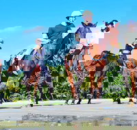 Mid-Morning Beach Horse Ride in Cape Tribulation with Pick Up - Stayed