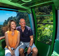 Sightseeing Kuranda Self-Driving Tour - Stayed