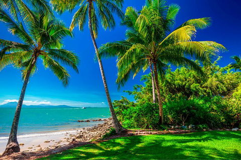 SHUTTLE - Port Douglas And Craiglie Return Transfer - Stayed 2