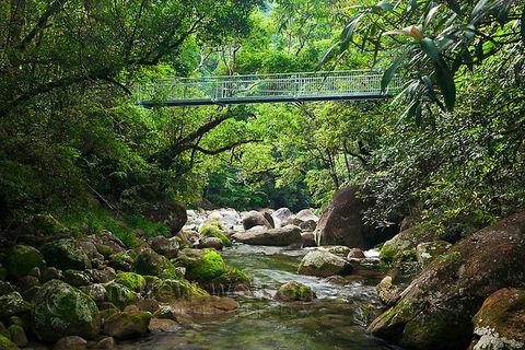 SHUTTLE - Mossman Gorge & Cooya Beach From Port Douglas (Return Transfer) - Stayed 4