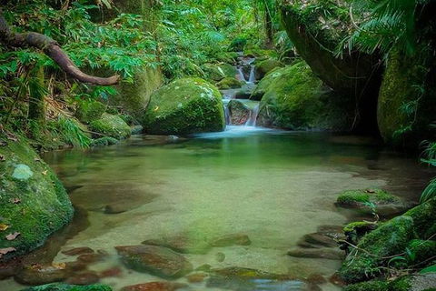 SHUTTLE - Mossman Gorge & Cooya Beach From Port Douglas (Return Transfer) - Stayed 2