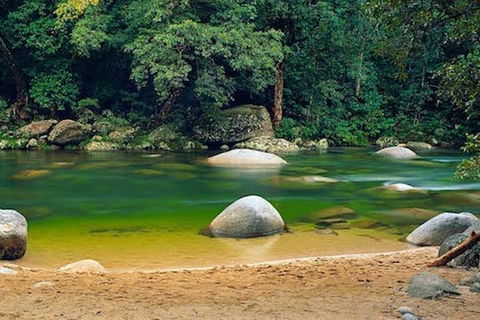 SHUTTLE - Mossman Gorge & Cooya Beach From Port Douglas (Return Transfer) - Stayed 1