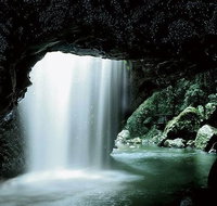 Glowworm Cave  Natural Bridge Tour - Stayed