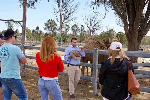 Camel Farm Tour And Taste Near Brisbane - Stayed 5