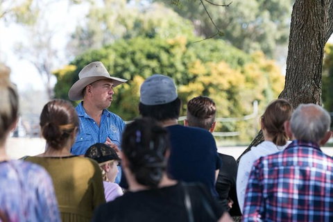 Camel Farm Tour And Taste Near Brisbane - Stayed 4
