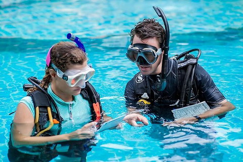 PADI Diving Courses On The Gold Coast - Stayed 0