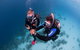 PADI Diving Courses On The Gold Coast - thumb 5