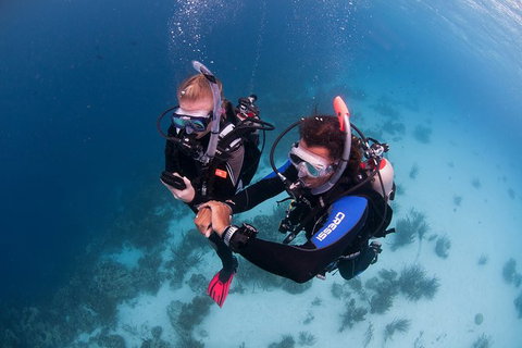 PADI Diving Courses On The Gold Coast - Stayed 5