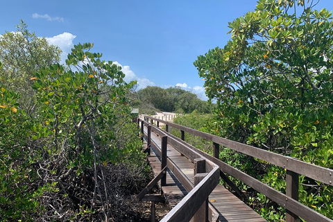 Hinchinbrook Island Tour - Stays Accommodation 4