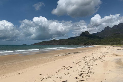 Hinchinbrook Island Tour - Stays Accommodation 3