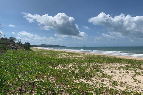 Hinchinbrook Island Tour - Stays Accommodation 5