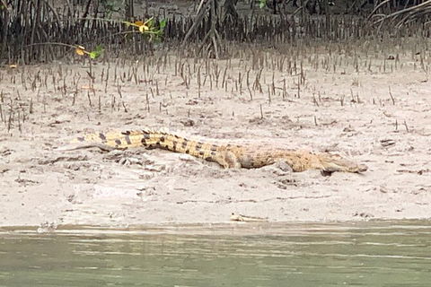 Hinchinbrook Island Tour - Stays Accommodation 2