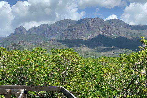 Hinchinbrook Island Tour - Stays Accommodation 0