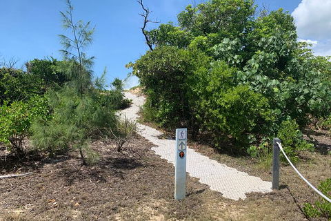 Hinchinbrook Island Tour - Stays Accommodation 1