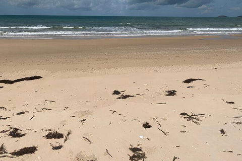 Hinchinbrook Island Tour - Stays Accommodation 6