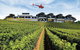 Brisbane Helicopter Winery Tour - Sirromet - thumb 4
