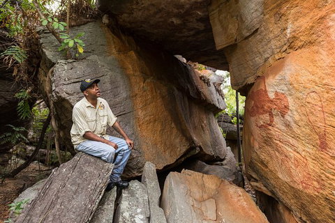 Half Day Aboriginal Rock Art Experience In Queensland - Stayed 7