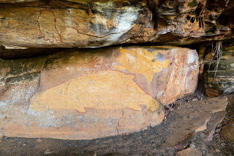 Half Day Aboriginal Rock Art Experience In Queensland - Stayed 3