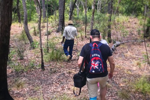Half Day Aboriginal Rock Art Experience In Queensland - Stayed 5
