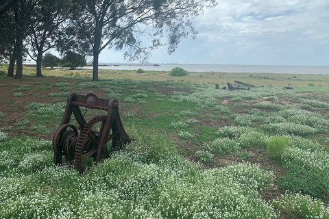 Half Day St. Helena Island Tour - Stayed 1