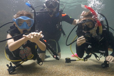 Scuba Kids- Padi Bubblemaker Course - Stayed 4