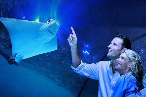 Cairns Aquarium Tour By Twilight With Drink And Appetiser - Stayed 0