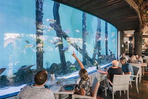 Cairns Aquarium Tour By Twilight With Drink And Appetiser - Stayed 1